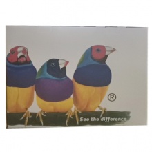 優(yōu)派一體機(jī)C24電腦一體機(jī)家用辦公臺式主機(jī)i5i7網(wǎng)吧游戲8G曲面